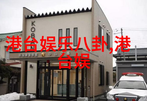 视频华表奖颁奖典礼 刘德华西服配可爱领结现身