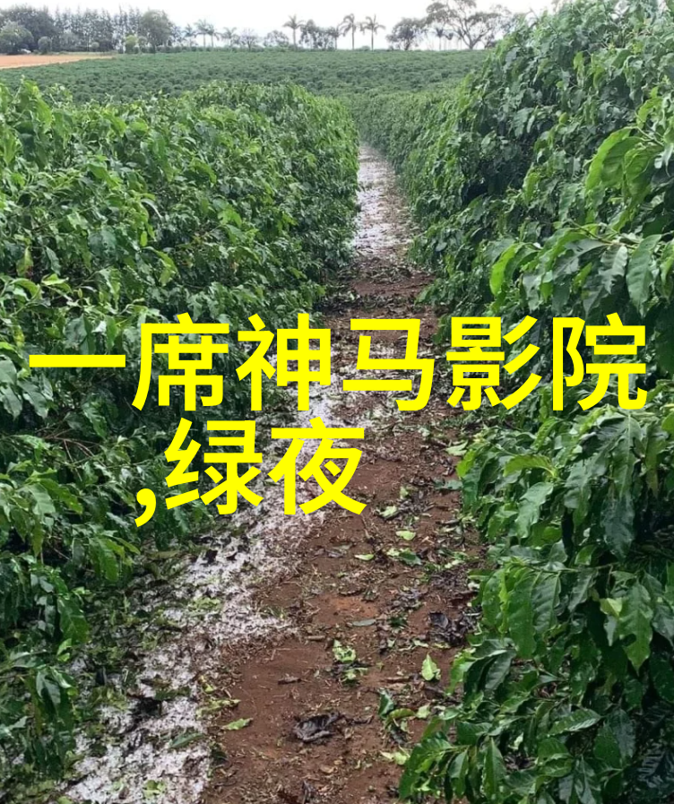 青春无敌我的痞子老师热血上线
